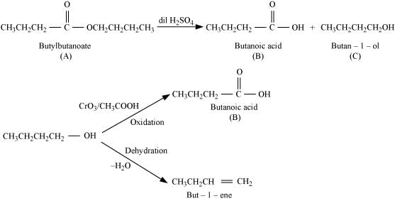NCERT Solutions Class 12 Chemistry Chapter 8 - Aldehydes, Ketones & Carboxylic Acids
